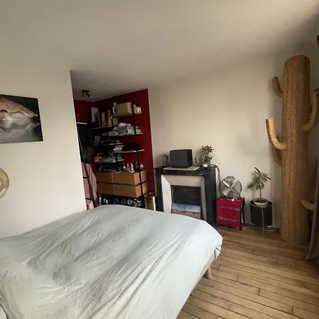 Parisian Apartment On Courtyard باريس